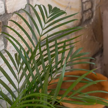 Kozbeyli Konagi Yenifoca