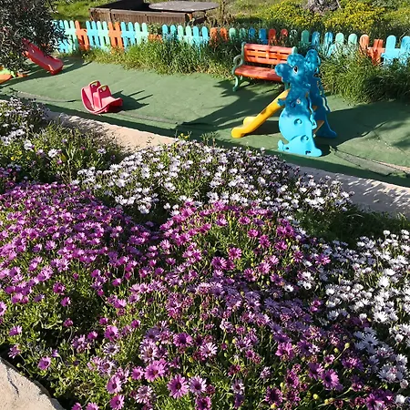 酒店 Kozbeyli Konagi